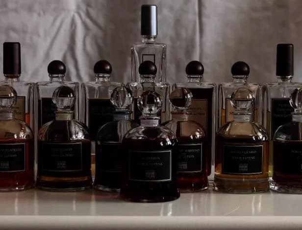 Woody, Floral, Oriental fragrance reference with cocoa, iris, guaiaceous, vetiver notes for custom perfume development