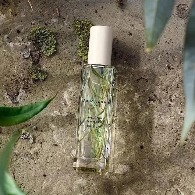 Amber, Spicy fragrance reference with pink pepper, willow, amber notes for custom perfume development