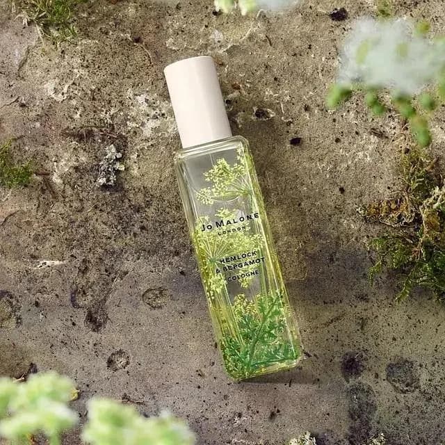 Citrus, Floral fragrance reference with fragrant lemon, hemlock flower, day mustard notes for custom perfume development