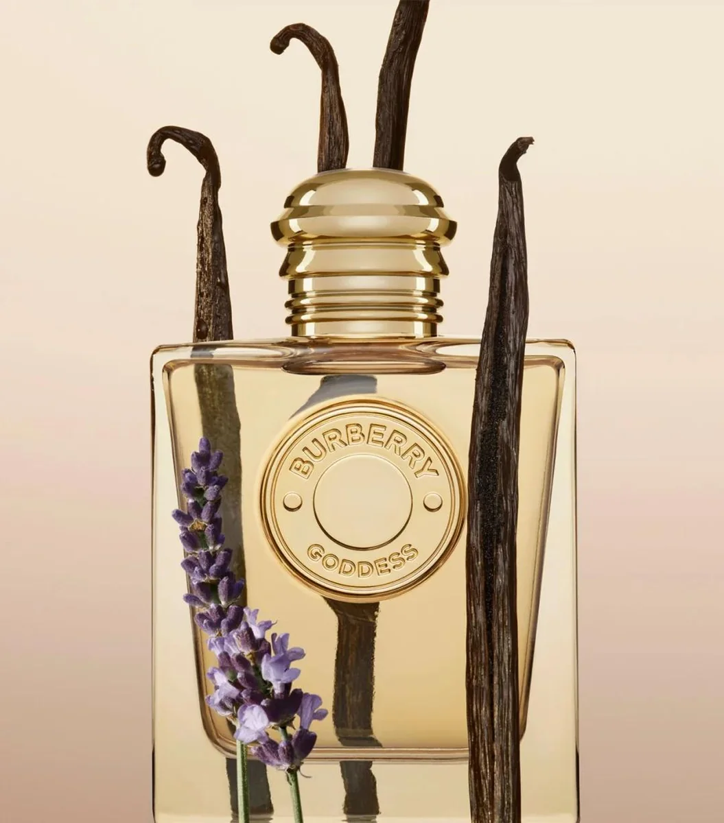 Gourmand fragrance reference with vanilla, lavender, ginger, cocoa notes for custom perfume development