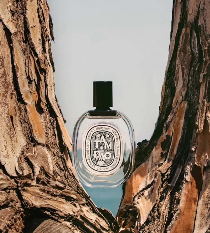 Woody, Floral, Amber fragrance reference with cypress, myrtle, rose, sandalwood notes for custom perfume development