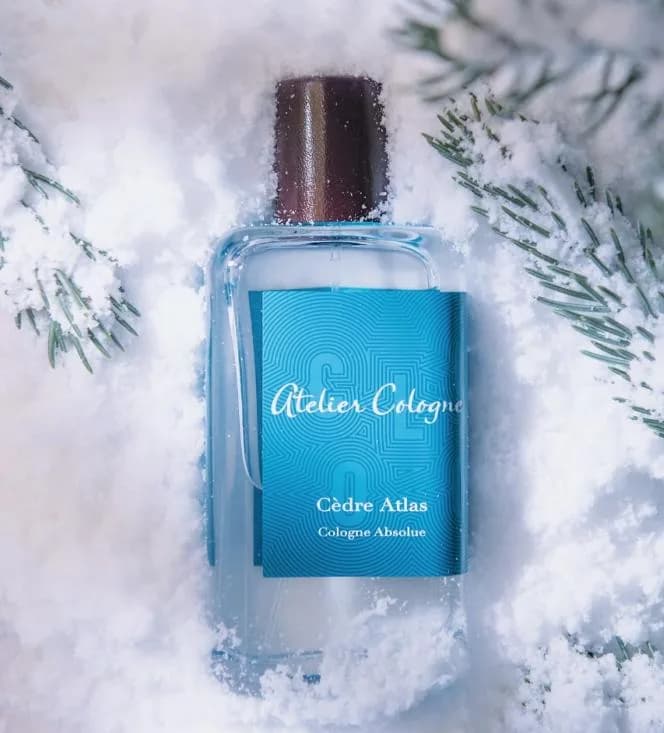 Citrus, Woody, Floral fragrance reference with bergamot, lemon, blackcurrant, cedar notes for custom perfume development