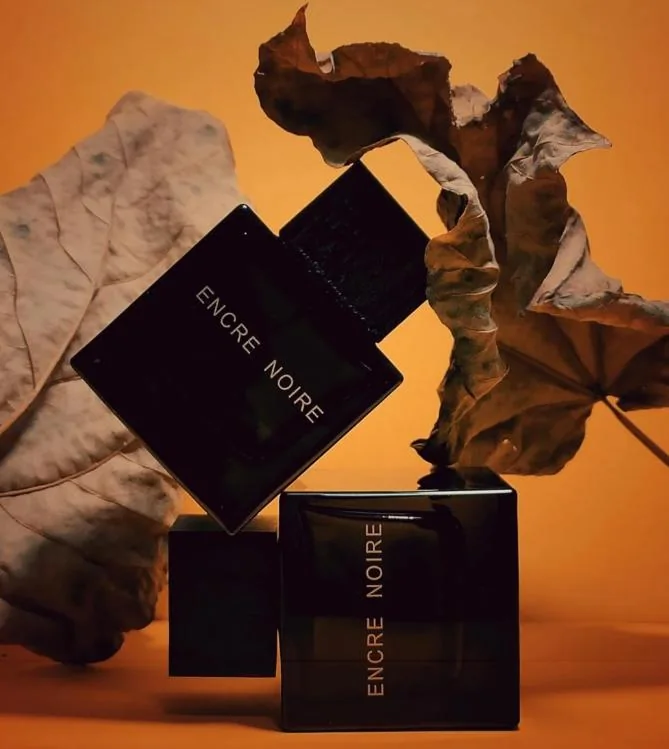 Woody, Musk, Fougere fragrance reference with cypress, vetiver, musk, cashmere wood notes for custom perfume development