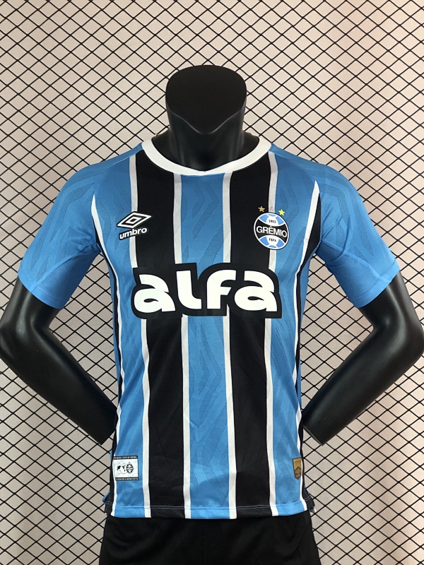 Player Version