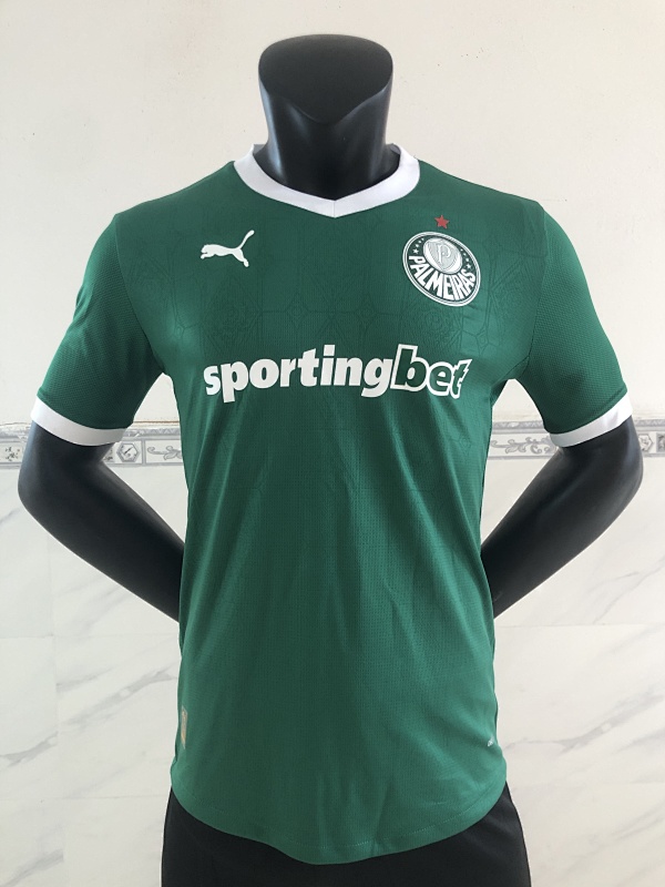 Palmeiras Player Version