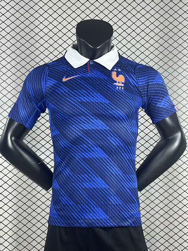 Football Collection France Player Version