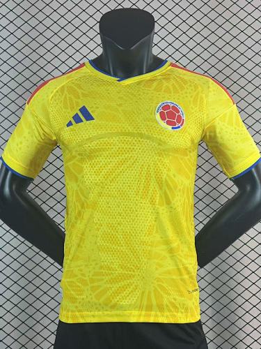 Football Collection Colombia Player Version