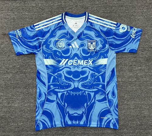 Football Collection Football Collection Fan Version