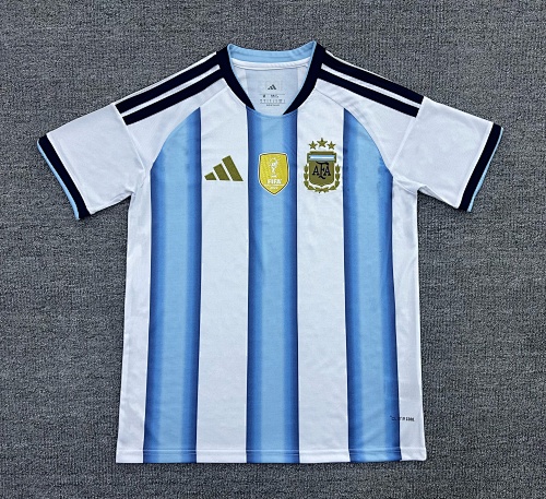 Football Collection Argentina Fan Version