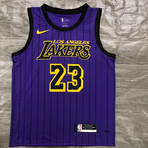 Los Angeles Lakers LeBron James #23 Limited Edition Purple 18 Season Basketball Jersey