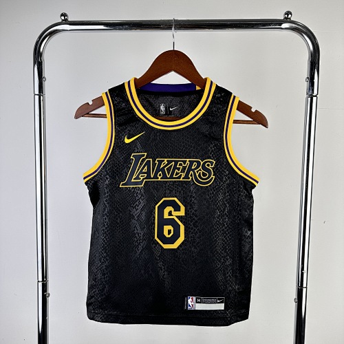 Los Angeles Lakers LeBron James #6 Kids Basketball Jersey