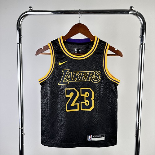 Los Angeles Lakers LeBron James #23 Kids Basketball Jersey